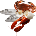 vLaak